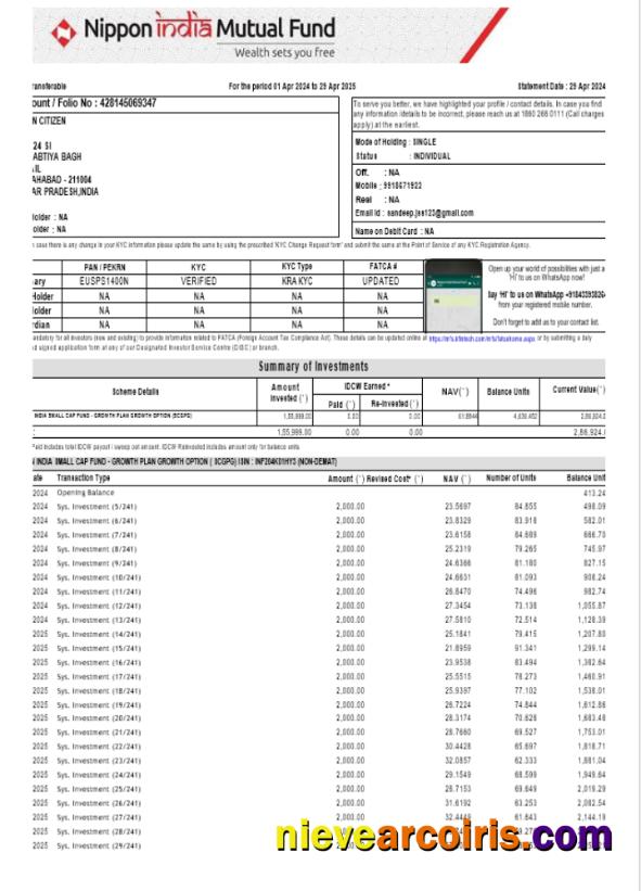 INDIA NIPPON bank statement, Word and PDF format
